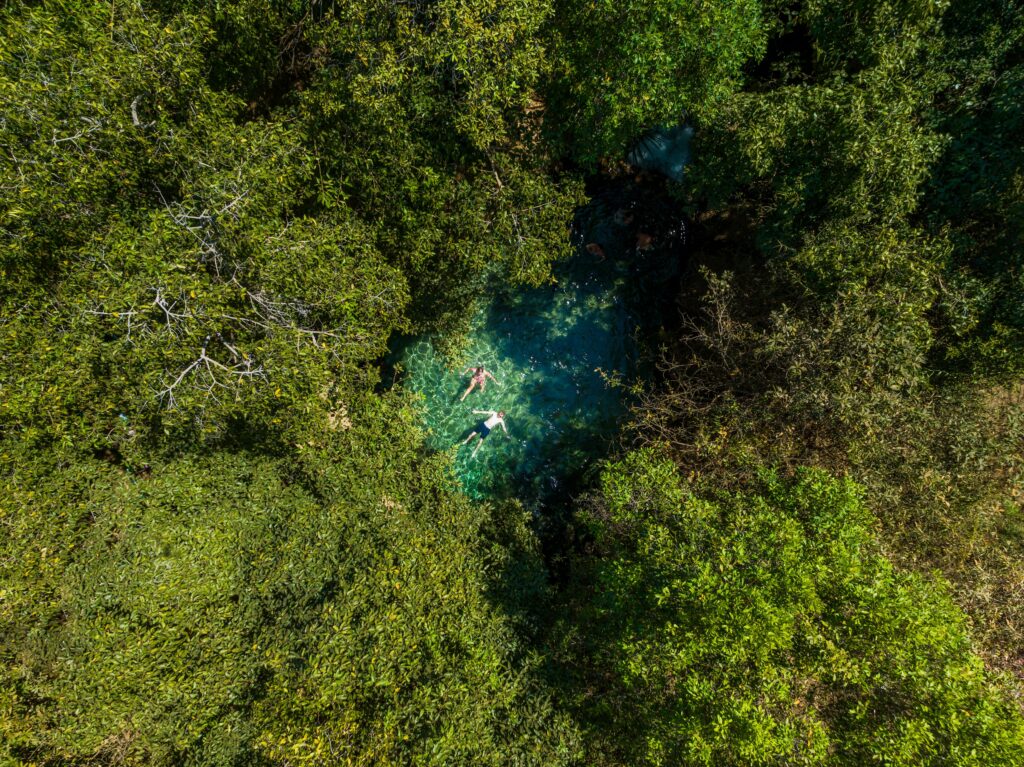 Katherine Hot Springs by Lachlan Gardiner